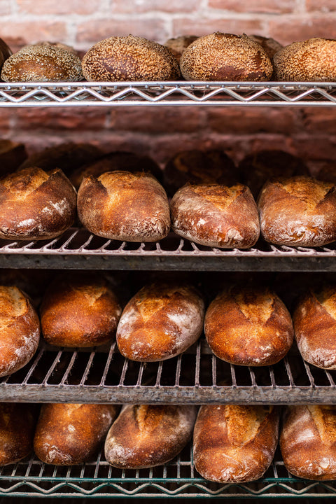 ARTISAN BREADS